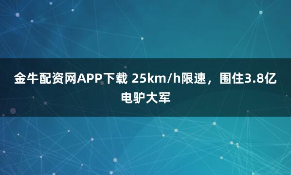 金牛配资网APP下载 25km/h限速，围住3.8亿电驴大军