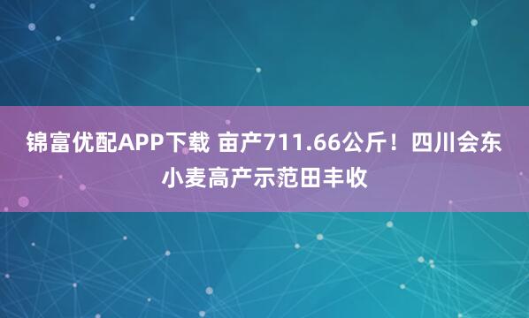 锦富优配APP下载 亩产711.66公斤！四川会东小麦高产示范田丰收