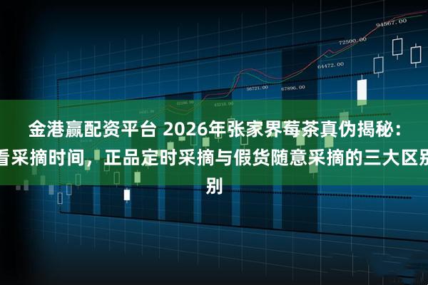 金港赢配资平台 2026年张家界莓茶真伪揭秘：看采摘时间，正品定时采摘与假货随意采摘的三大区别